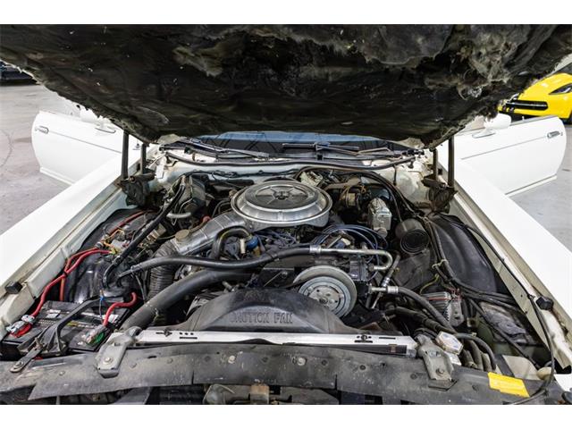 1977 Ford Thunderbird (CC-2104743) for sale in Kentwood, Michigan