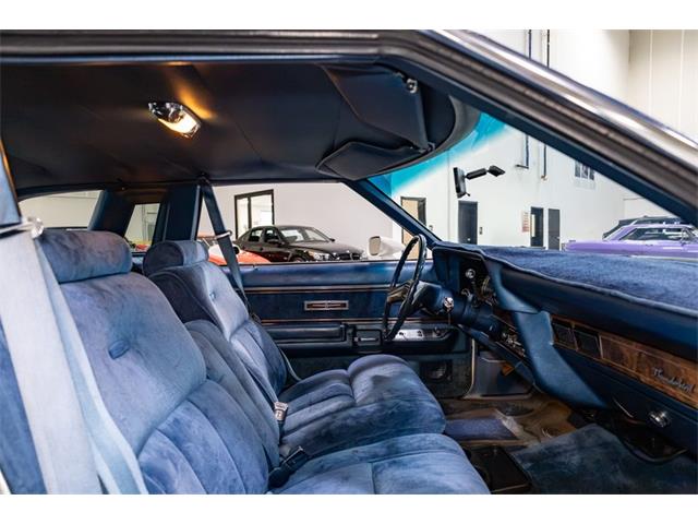 1977 Ford Thunderbird (CC-2104743) for sale in Kentwood, Michigan