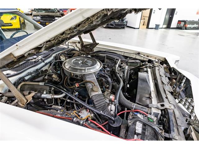 1977 Ford Thunderbird (CC-2104743) for sale in Kentwood, Michigan