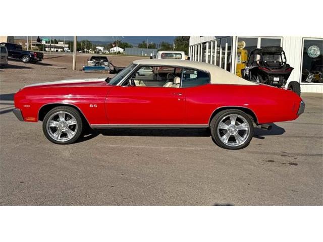 1970 Chevrolet Chevelle (CC-2104794) for sale in Cadillac, Michigan