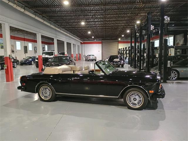 1988 Rolls-Royce Corniche (CC-2104852) for sale in Boca Raton, Florida
