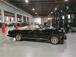 1988 Rolls-Royce Corniche (CC-2104852) for sale in Boca Raton, Florida