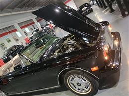 1988 Rolls-Royce Corniche (CC-2104852) for sale in Boca Raton, Florida