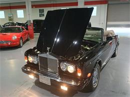 1988 Rolls-Royce Corniche (CC-2104852) for sale in Boca Raton, Florida