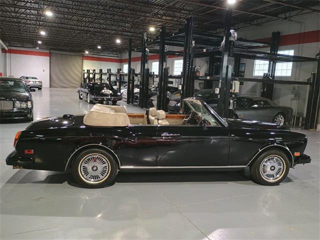 1988 Rolls-Royce Corniche (CC-2104852) for sale in Boca Raton, Florida