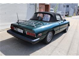 1976 Alfa Romeo 2000 (CC-2104864) for sale in Astoria, New York