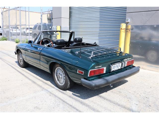 1976 Alfa Romeo 2000 (CC-2104864) for sale in Astoria, New York