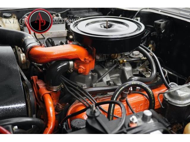 1977 International Scout (CC-2104870) for sale in Statesville, North Carolina
