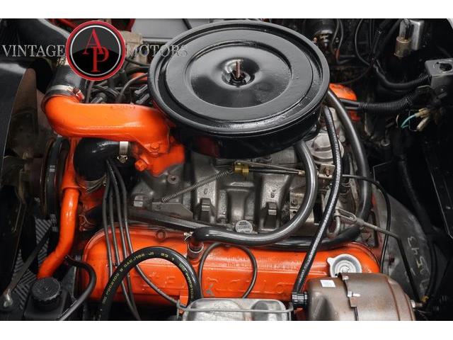 1977 International Scout (CC-2104870) for sale in Statesville, North Carolina