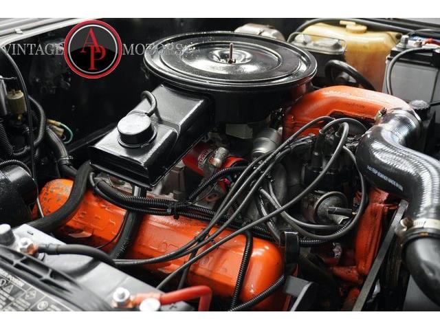 1977 International Scout (CC-2104870) for sale in Statesville, North Carolina