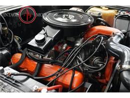 1977 International Scout (CC-2104870) for sale in Statesville, North Carolina
