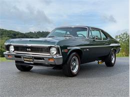 1969 Chevrolet Nova (CC-2104946) for sale in Orwigsburg, Pennsylvania