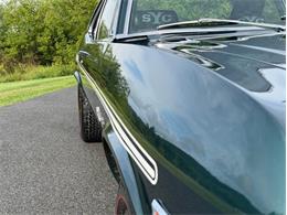 1969 Chevrolet Nova (CC-2104946) for sale in Orwigsburg, Pennsylvania