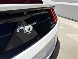 2020 Ford Mustang (CC-2100498) for sale in Statesville, North Carolina