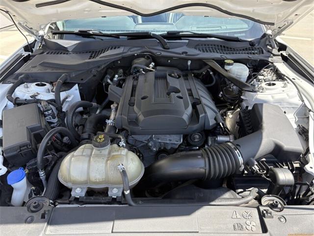 2020 Ford Mustang (CC-2100498) for sale in Statesville, North Carolina