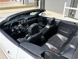 2020 Ford Mustang (CC-2100498) for sale in Statesville, North Carolina