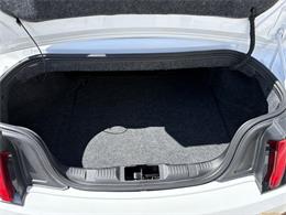 2020 Ford Mustang (CC-2100498) for sale in Statesville, North Carolina