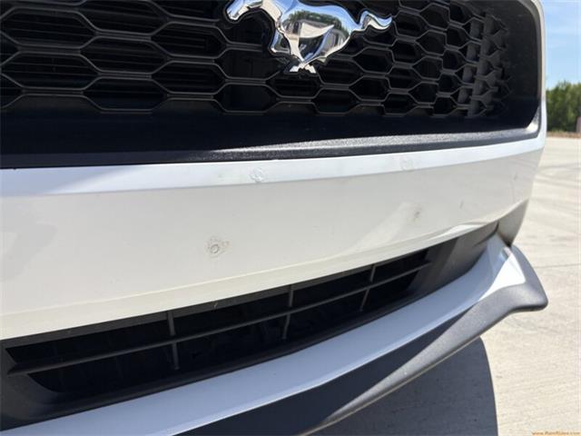 2020 Ford Mustang (CC-2100498) for sale in Statesville, North Carolina