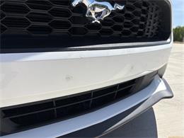 2020 Ford Mustang (CC-2100498) for sale in Statesville, North Carolina