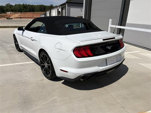 2020 Ford Mustang (CC-2100498) for sale in Statesville, North Carolina