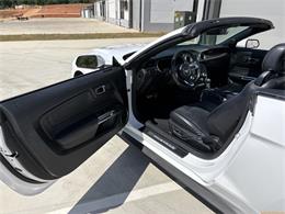 2020 Ford Mustang (CC-2100498) for sale in Statesville, North Carolina