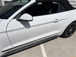 2020 Ford Mustang (CC-2100498) for sale in Statesville, North Carolina