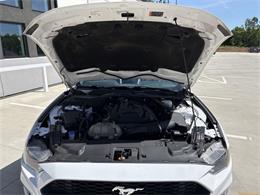2020 Ford Mustang (CC-2100498) for sale in Statesville, North Carolina