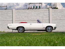 1964 Pontiac GTO "Tri-Power 4-Speed" (CC-2104980) for sale in Allentown, Pennsylvania