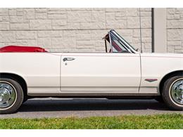 1964 Pontiac GTO "Tri-Power 4-Speed" (CC-2104980) for sale in Allentown, Pennsylvania
