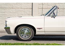 1964 Pontiac GTO "Tri-Power 4-Speed" (CC-2104980) for sale in Allentown, Pennsylvania