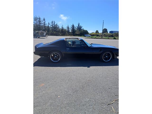 1981 Pontiac Firebird Trans Am SE (CC-2104991) for sale in Eureka, California