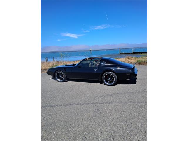 1981 Pontiac Firebird Trans Am SE (CC-2104991) for sale in Eureka, California
