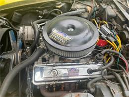 1982 Chevrolet Corvette (CC-2105001) for sale in Cadillac, Michigan