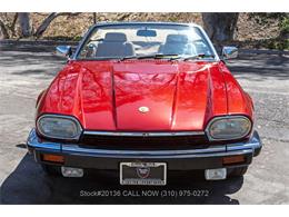 1993 Jaguar XJS (CC-2105022) for sale in Beverly Hills, California