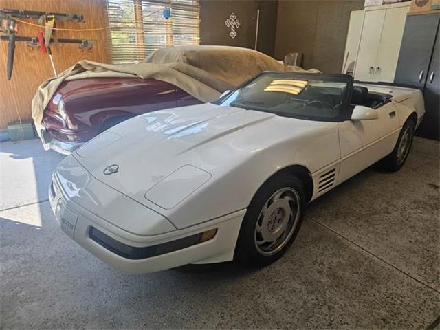 1991 Chevrolet Corvette (CC-2105048) for sale in Cadillac, Michigan
