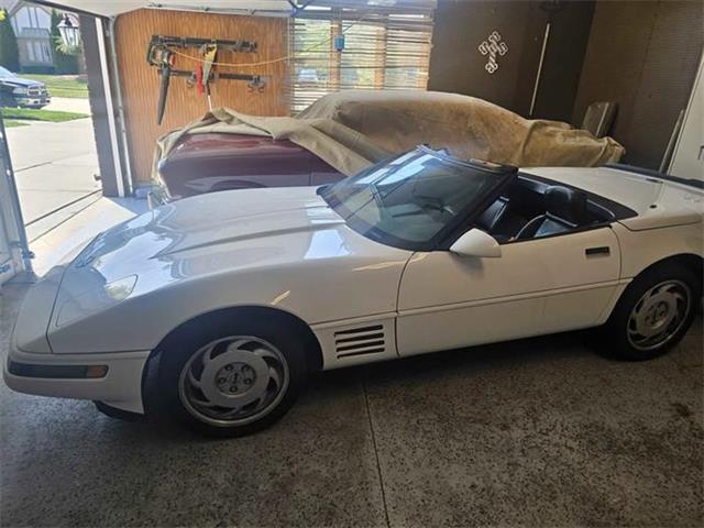1991 Chevrolet Corvette (CC-2105048) for sale in Cadillac, Michigan