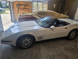 1991 Chevrolet Corvette (CC-2105048) for sale in Cadillac, Michigan
