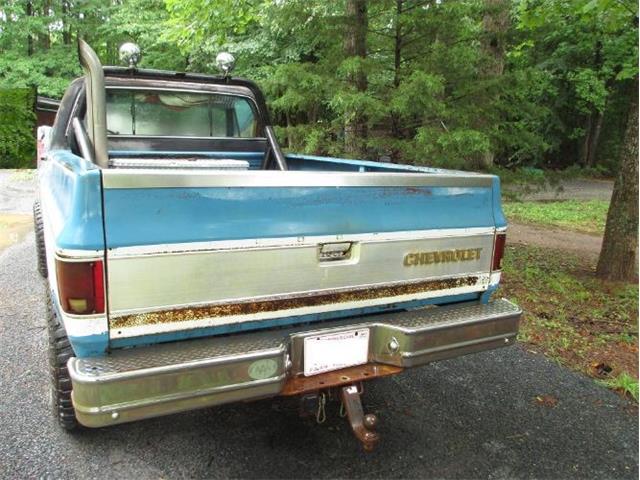 1979 Chevrolet K-10 (CC-2105056) for sale in Cadillac, Michigan