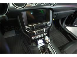 2020 Ford Mustang (CC-2100508) for sale in Cincinnati, Ohio