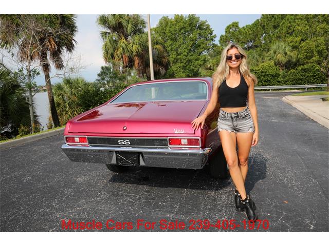 1971 Chevrolet Nova (CC-2105107) for sale in Fort Myers, Florida