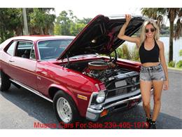 1971 Chevrolet Nova (CC-2105107) for sale in Fort Myers, Florida