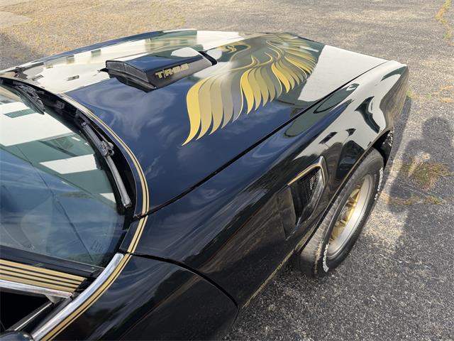 1979 Pontiac Firebird Formula Trans Am (CC-2105122) for sale in Auburn Hills, Michigan