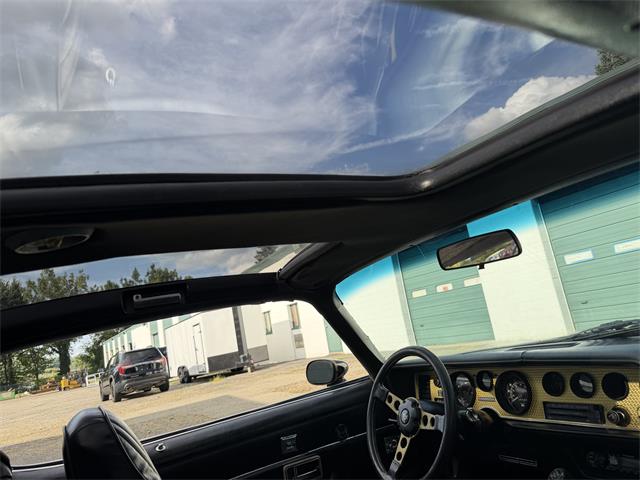 1979 Pontiac Firebird Formula Trans Am (CC-2105122) for sale in Auburn Hills, Michigan