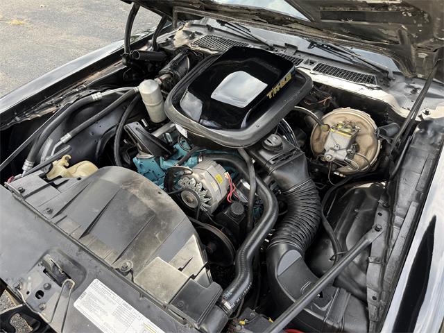1979 Pontiac Firebird Formula Trans Am (CC-2105122) for sale in Auburn Hills, Michigan