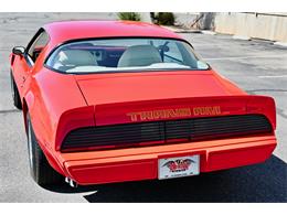 1979 Pontiac Firebird Trans Am (CC-2105124) for sale in SAINT GEORGE, Utah
