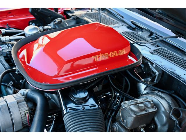 1979 Pontiac Firebird Trans Am (CC-2105124) for sale in SAINT GEORGE, Utah