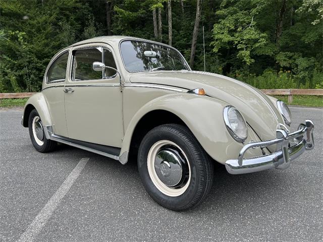 1966 Volkswagen Beetle (CC-2105147) for sale in Saratoga Springs, New York