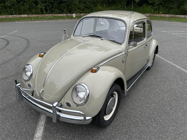 1966 Volkswagen Beetle (CC-2105147) for sale in Saratoga Springs, New York