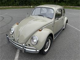 1966 Volkswagen Beetle (CC-2105147) for sale in Saratoga Springs, New York