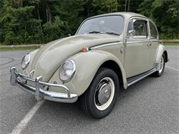 1966 Volkswagen Beetle (CC-2105147) for sale in Saratoga Springs, New York